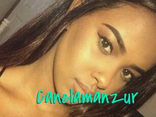 Canelamanzur