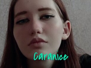Caranice