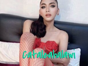 Cataleahalawi