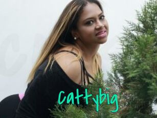 Cattybig