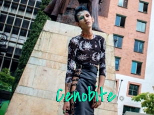 cenobite Cool Sexe