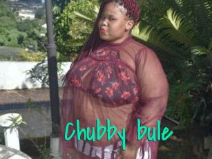 Chubby_bule
