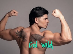 col_wild Cool Sexe