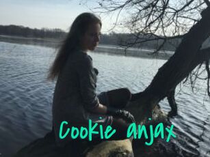 Cookie_anjax