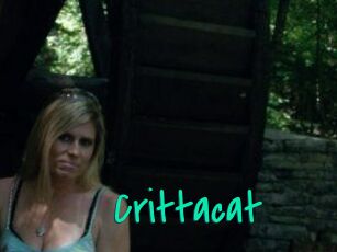 Crittacat