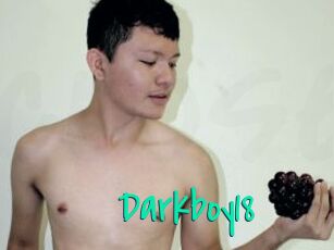 Darkboy18