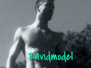 Davidmodel