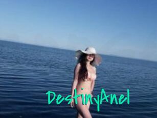 DestinyAnel
