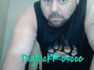 DigBickRoscoe