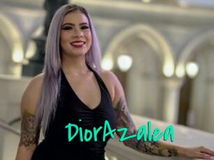 DiorAzalea