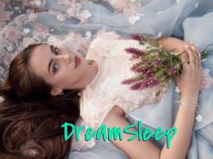 DreamSleep