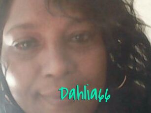 Dahlia66