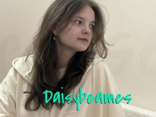 Daisybeames