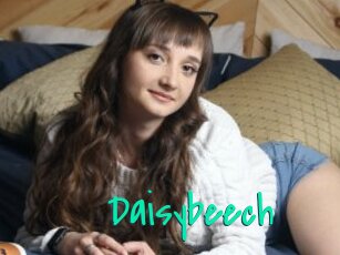 Daisybeech