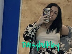 Daisybulkley