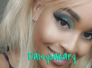 Daisycanary