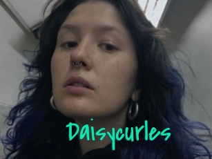 Daisycurles