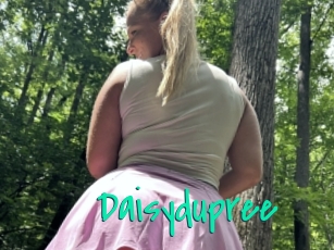 Daisydupree