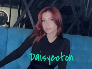 Daisyecton