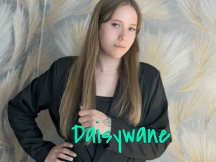 Daisywane