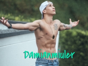 Damianmiuler
