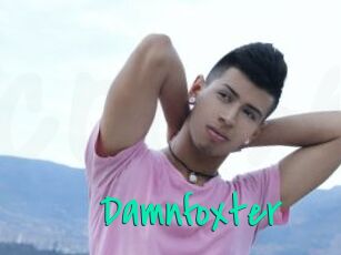 Damnfoxter