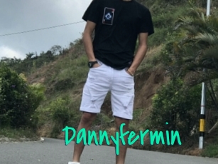 Dannyfermin