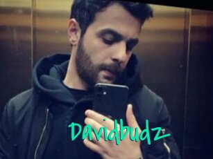 Davidbudz