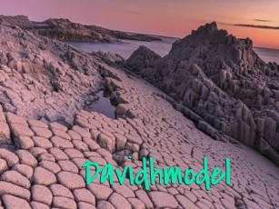 Davidhmodel
