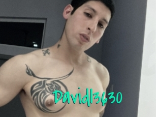 Davidl3630