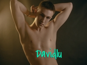 Davidlu