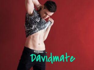 Davidmate
