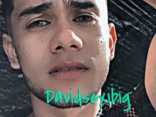 Davidsexibig