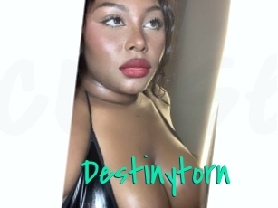 destinytorn Cool Sexe