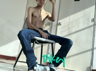 Dikey