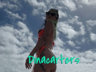 Dinacarters