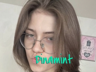 Dinamint