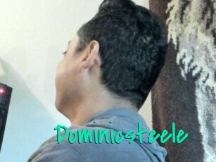 Dominicsteele