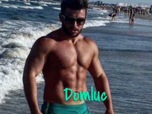 Domluc