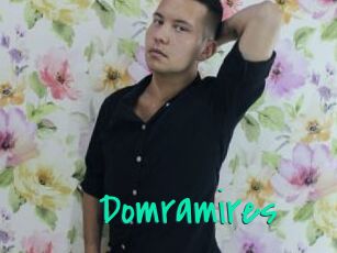 Domramires