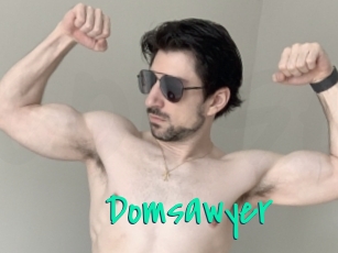 Domsawyer