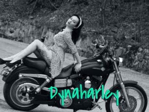Dynaharley