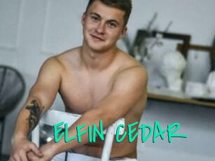 ELFIN_CEDAR