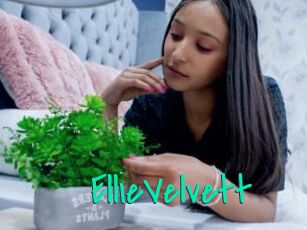 EllieVelvett