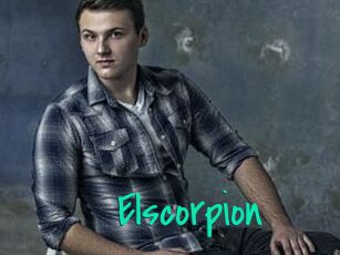 Elscorpion