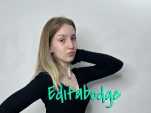 Editabodge