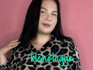 Elenebigge