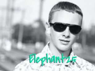 Elephant25