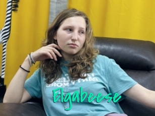Elgabeese