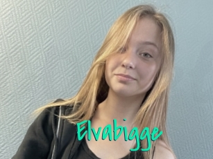Elvabigge